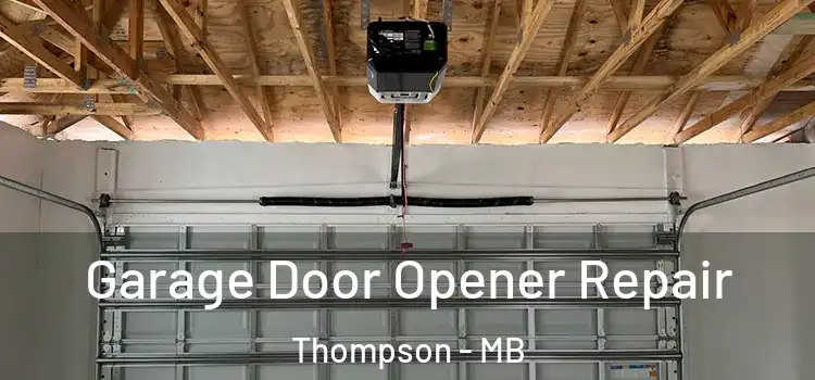  Garage Door Opener Repair Thompson - MB