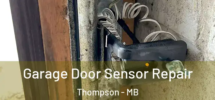  Garage Door Sensor Repair Thompson - MB